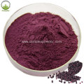 Anthocyanin extract maqui berry extract for sale